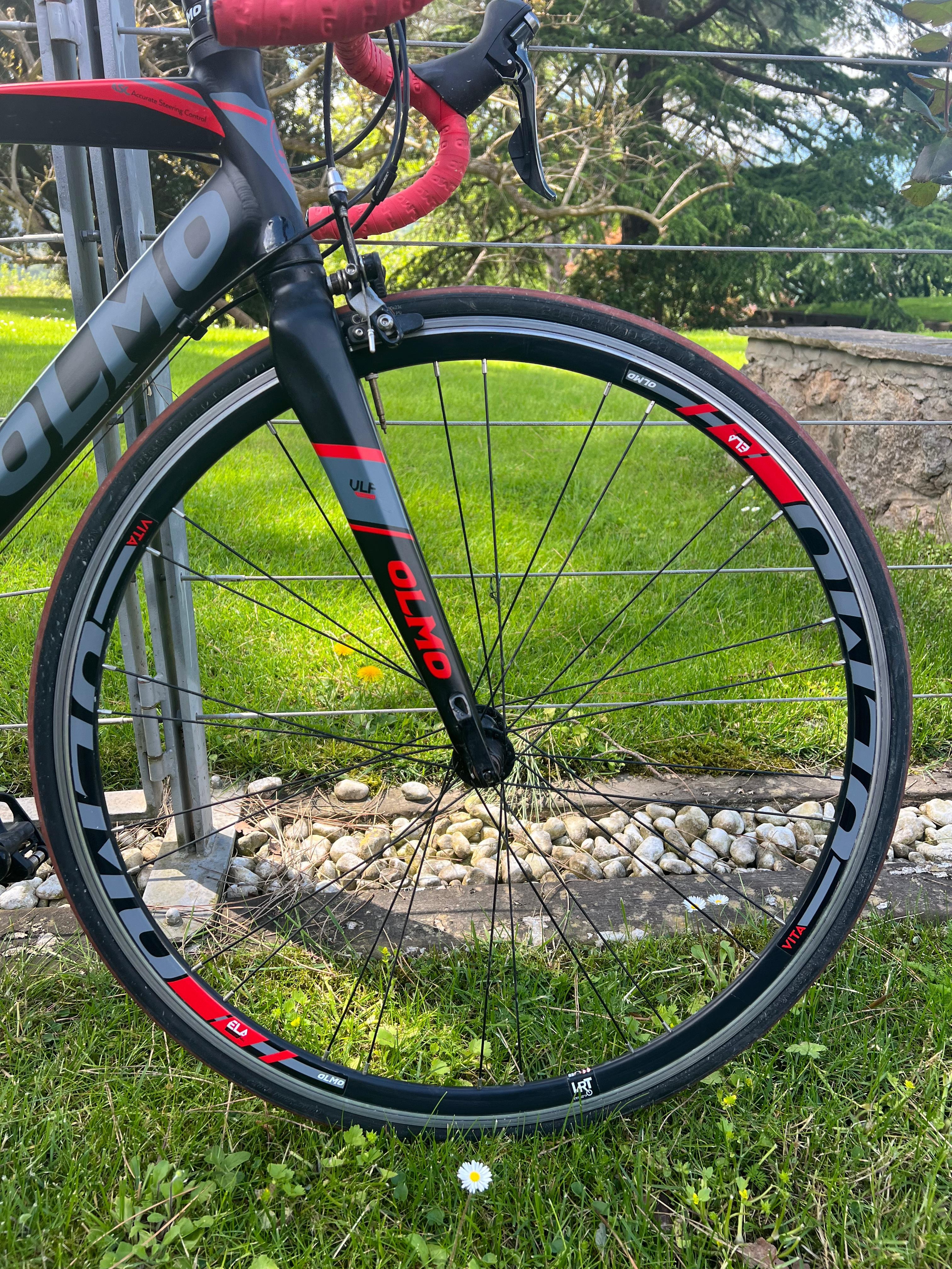 Olmo Zerocinque 2017