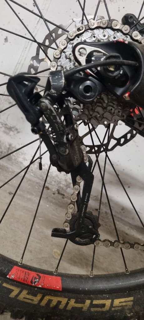 Scott gambler 730 2016