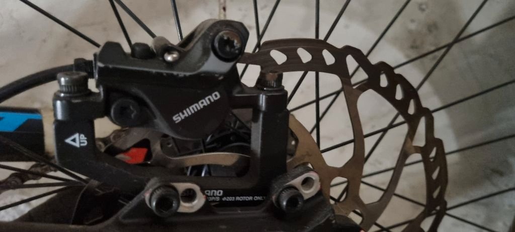 Scott gambler 730 2016