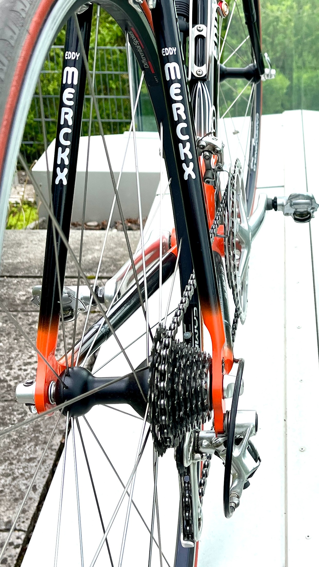 Eddy Merckx 2002