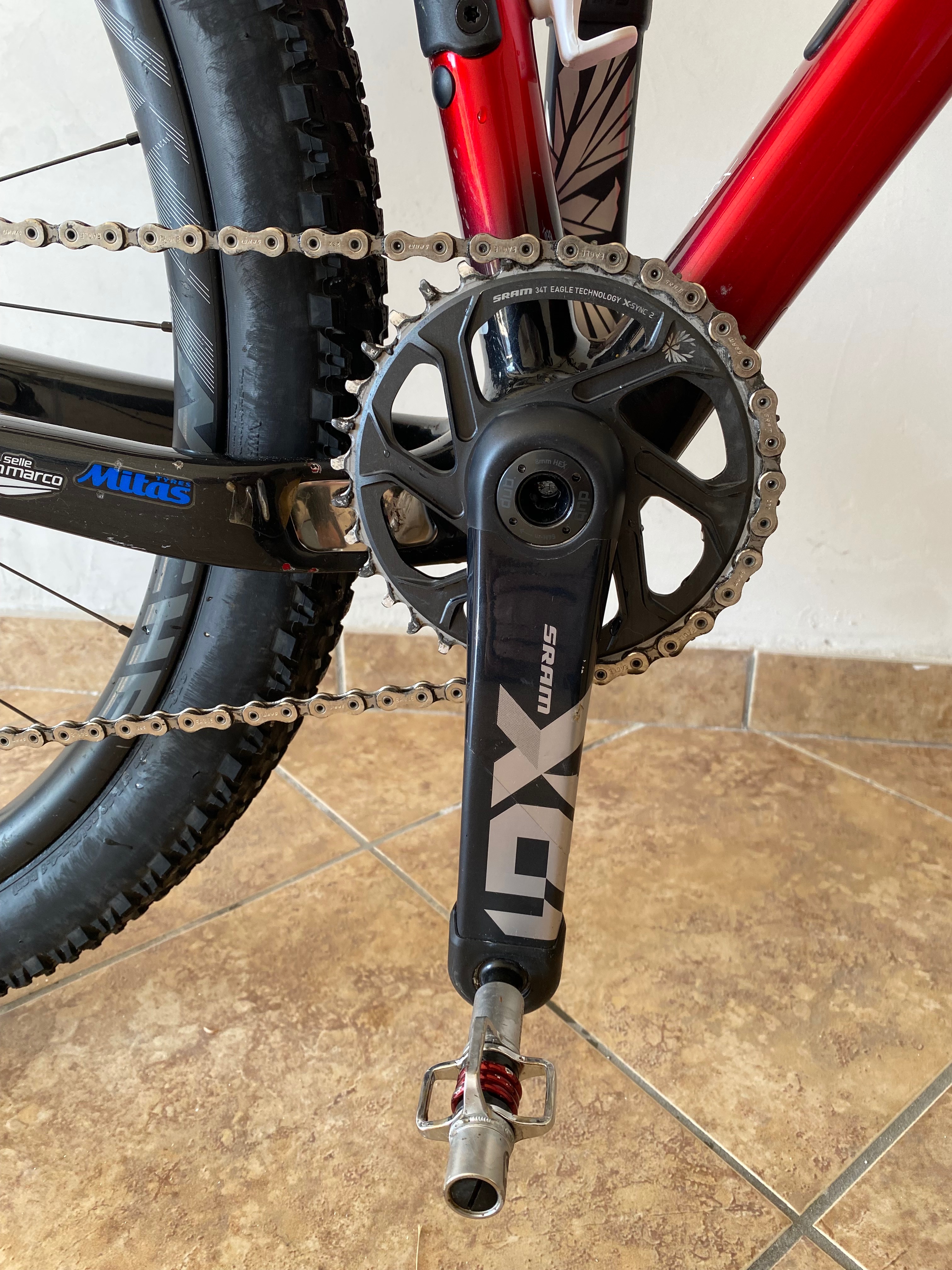 Bottecchia Aquila rossa 2022