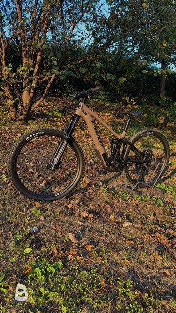 Pivot shuttle AM pro 2026