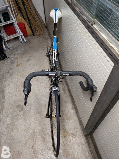 Focus Izalco 2009