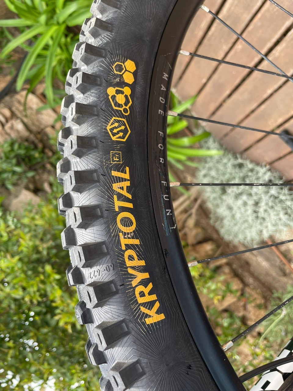 Marin Alpine Trail Carbon 2 2024
