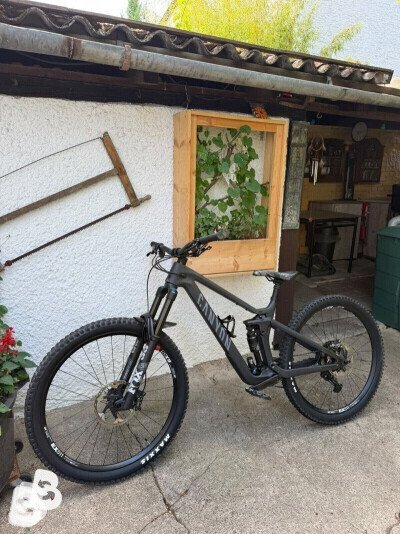 Canyon Strive cfr Underdog 2025