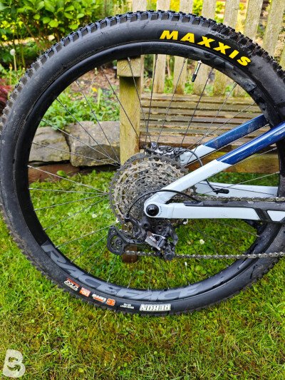 Orbea RISE H15 2023