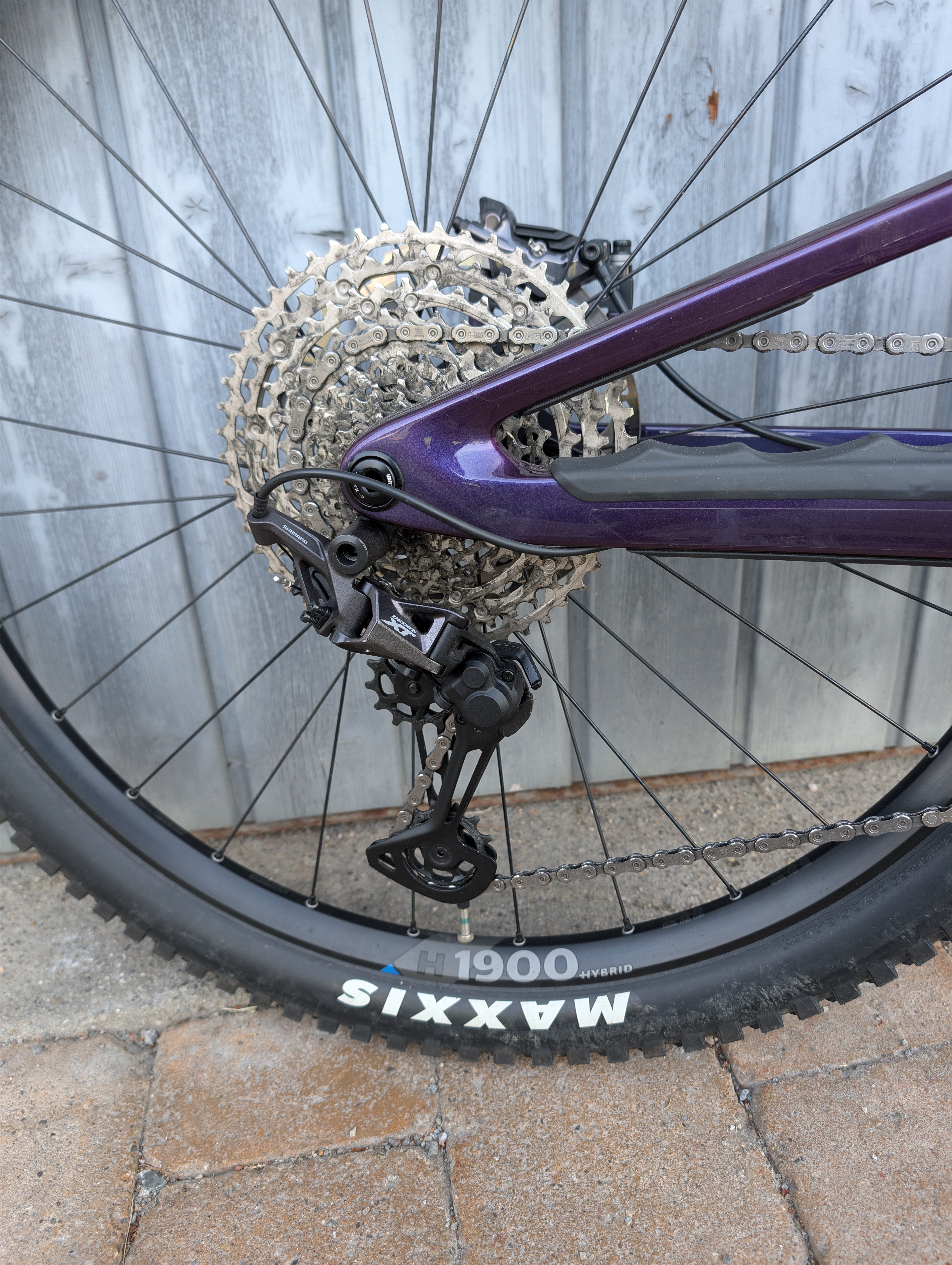 Scor 4060 Z LT XT 2023