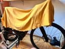 Specialized Creo 2 2024