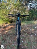 Torpado Matador 2021