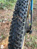 Torpado Matador 2021