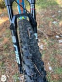 Torpado Matador 2021