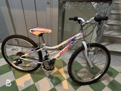 Atala butterfly 2022
