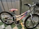 Atala butterfly 2022