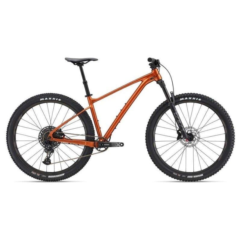Giant FATHOM  29 1 2022