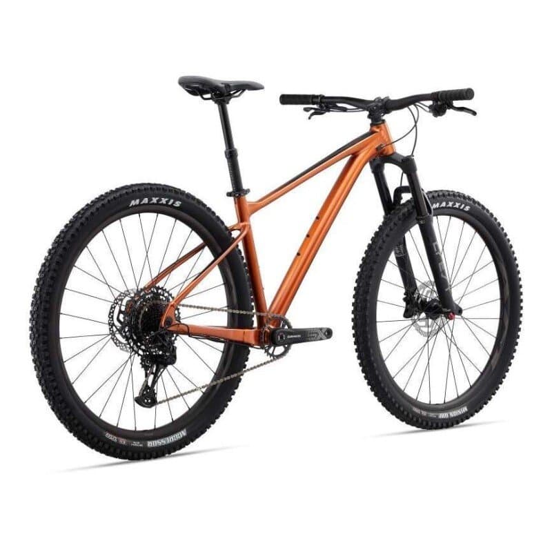 Giant FATHOM  29 1 2022