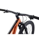 Giant FATHOM  29 1 2022