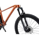 Giant FATHOM  29 1 2022