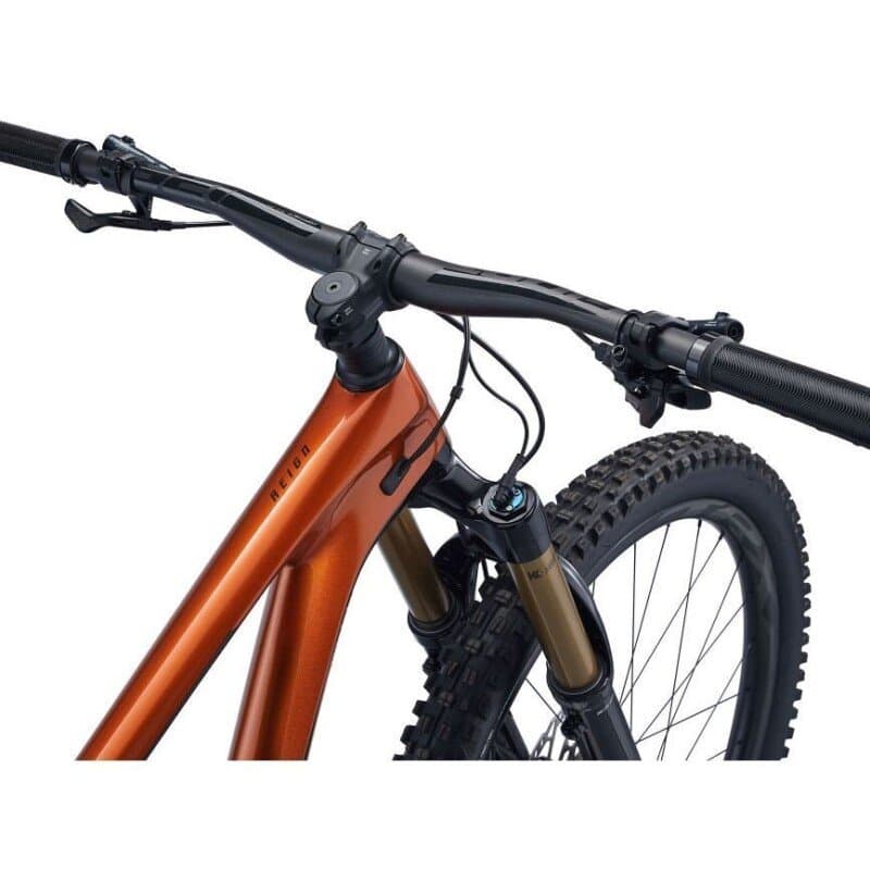 Giant Reign Advanced, Pro 29 1 2022