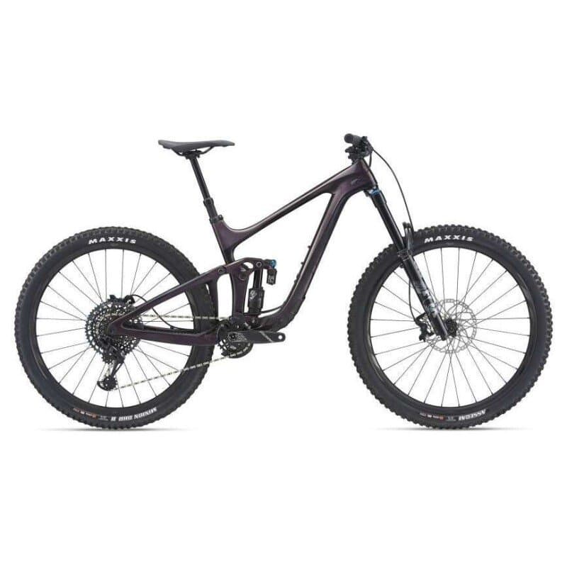 Giant Reign Advanced, Pro 29 1 2021
