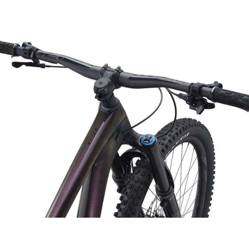 Giant Reign Advanced, Pro 29 1 2021