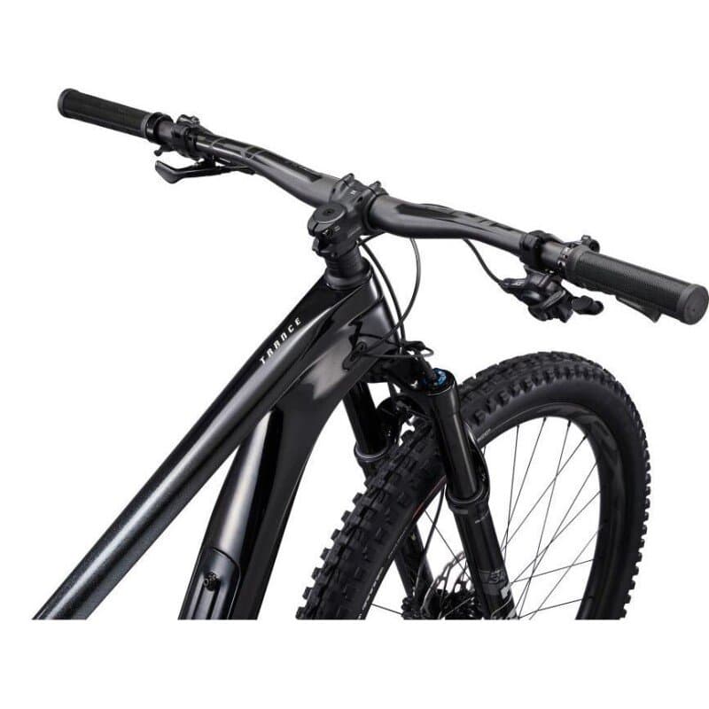 Giant Trance Advanced, Pro 29 1 2022