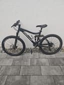 Steppenwolf Tycoon XR 2010
