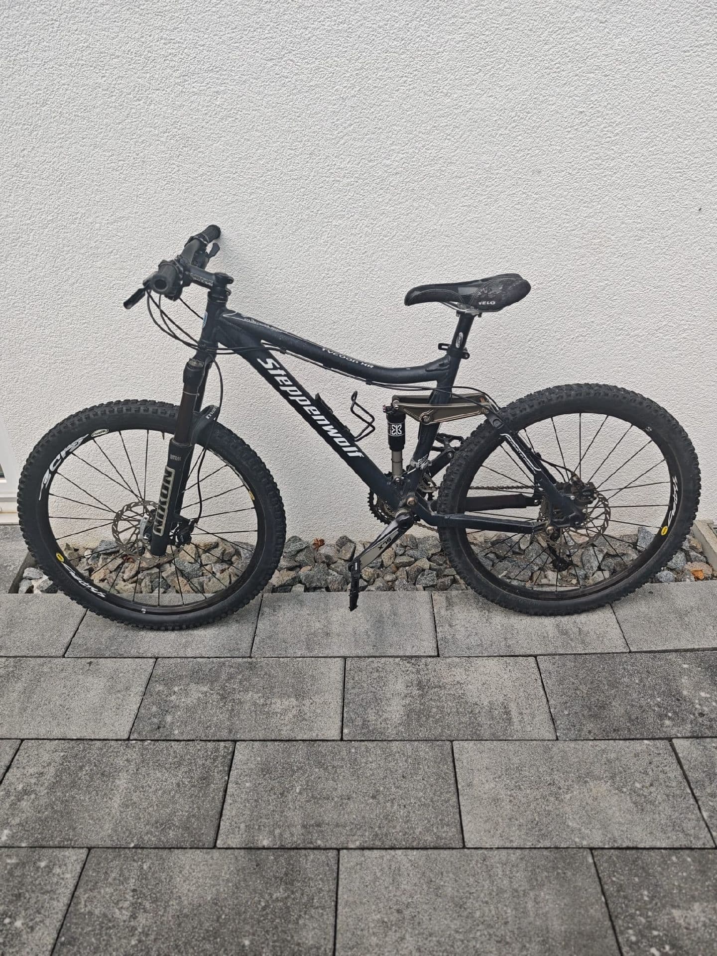 Steppenwolf Tycoon XR 2010