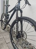 Steppenwolf Tycoon XR 2010