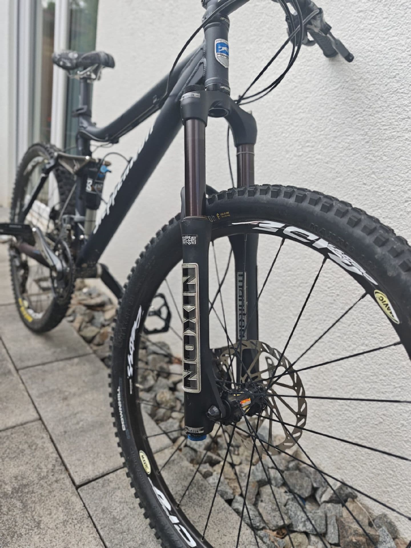 Steppenwolf Tycoon XR 2010
