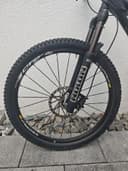 Steppenwolf Tycoon XR 2010