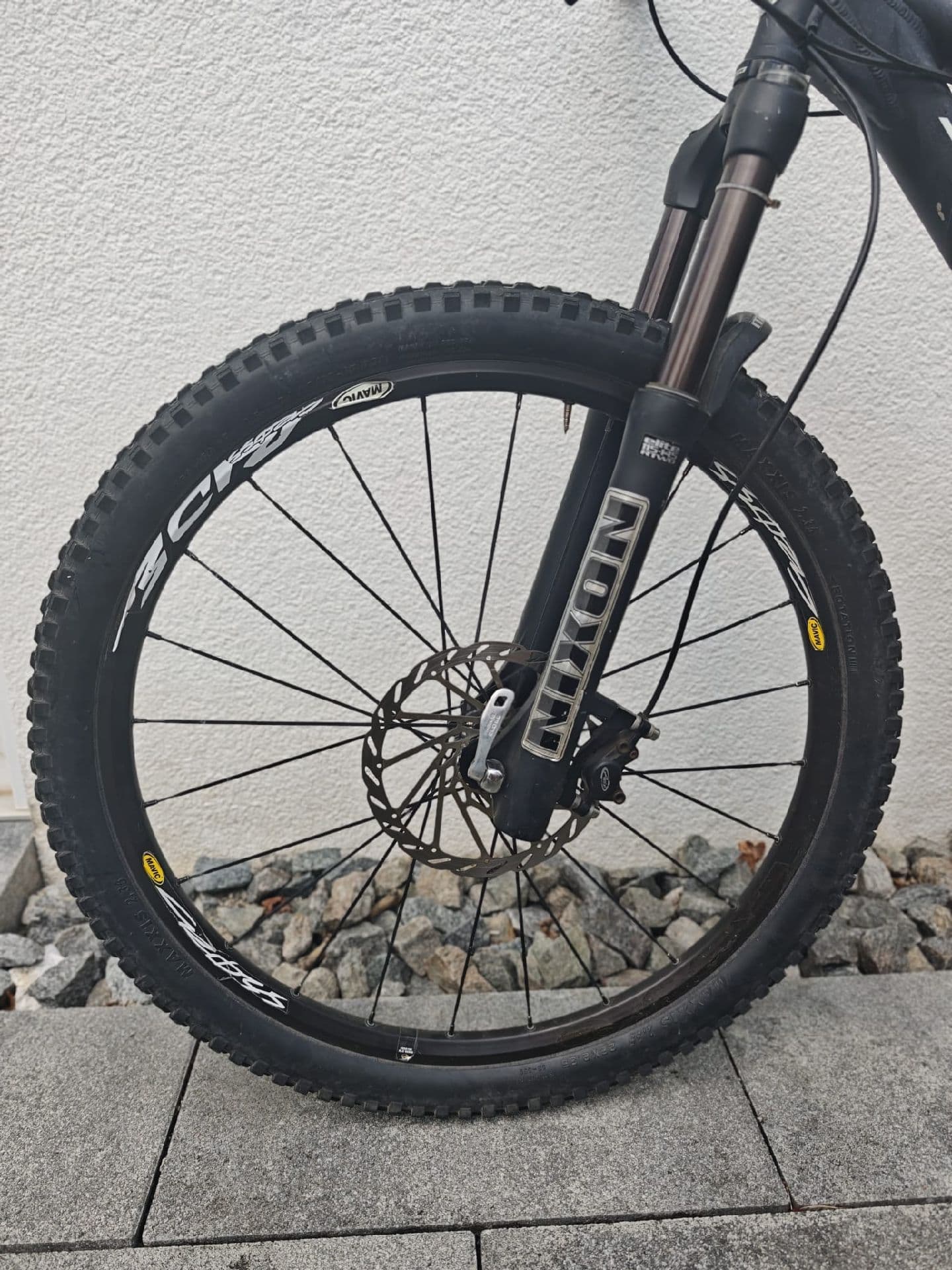 Steppenwolf Tycoon XR 2010