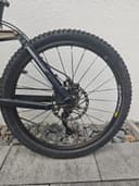 Steppenwolf Tycoon XR 2010