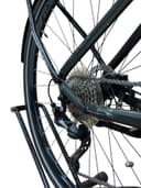 Giant Explore E+3 Shimano Alivio 2022