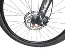 Giant Talon 0 2021