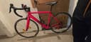Rose Pro sl 105 2012