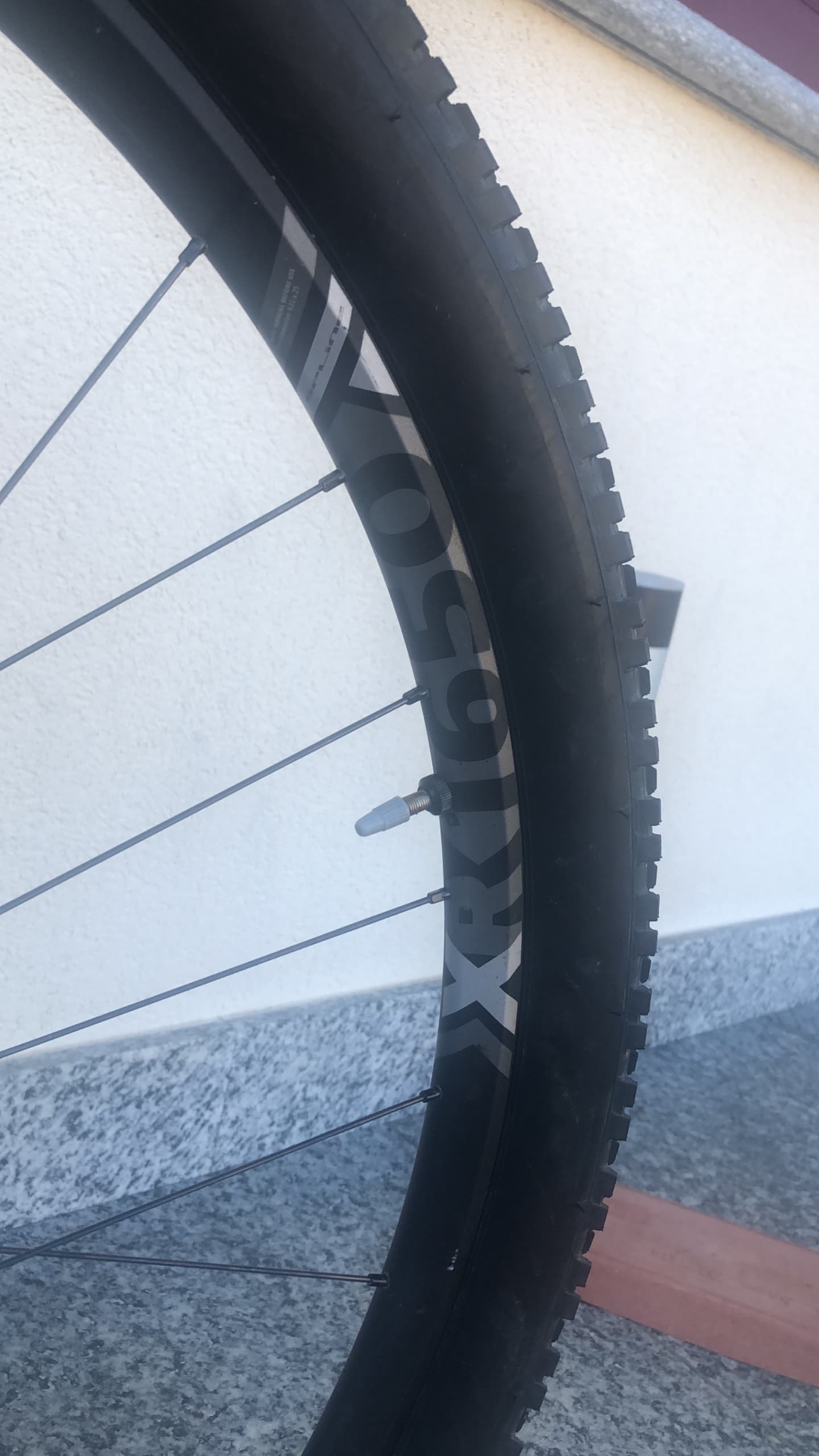 Specialized Epic EVO 2021