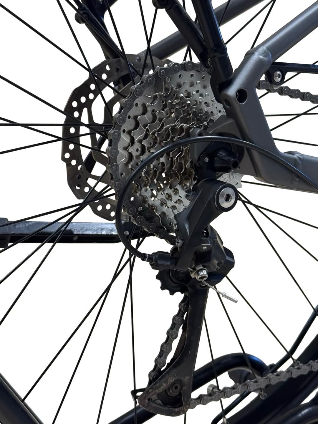 Kalkhoff Endeavour 1.B Move 545 Shimano Acera 2024