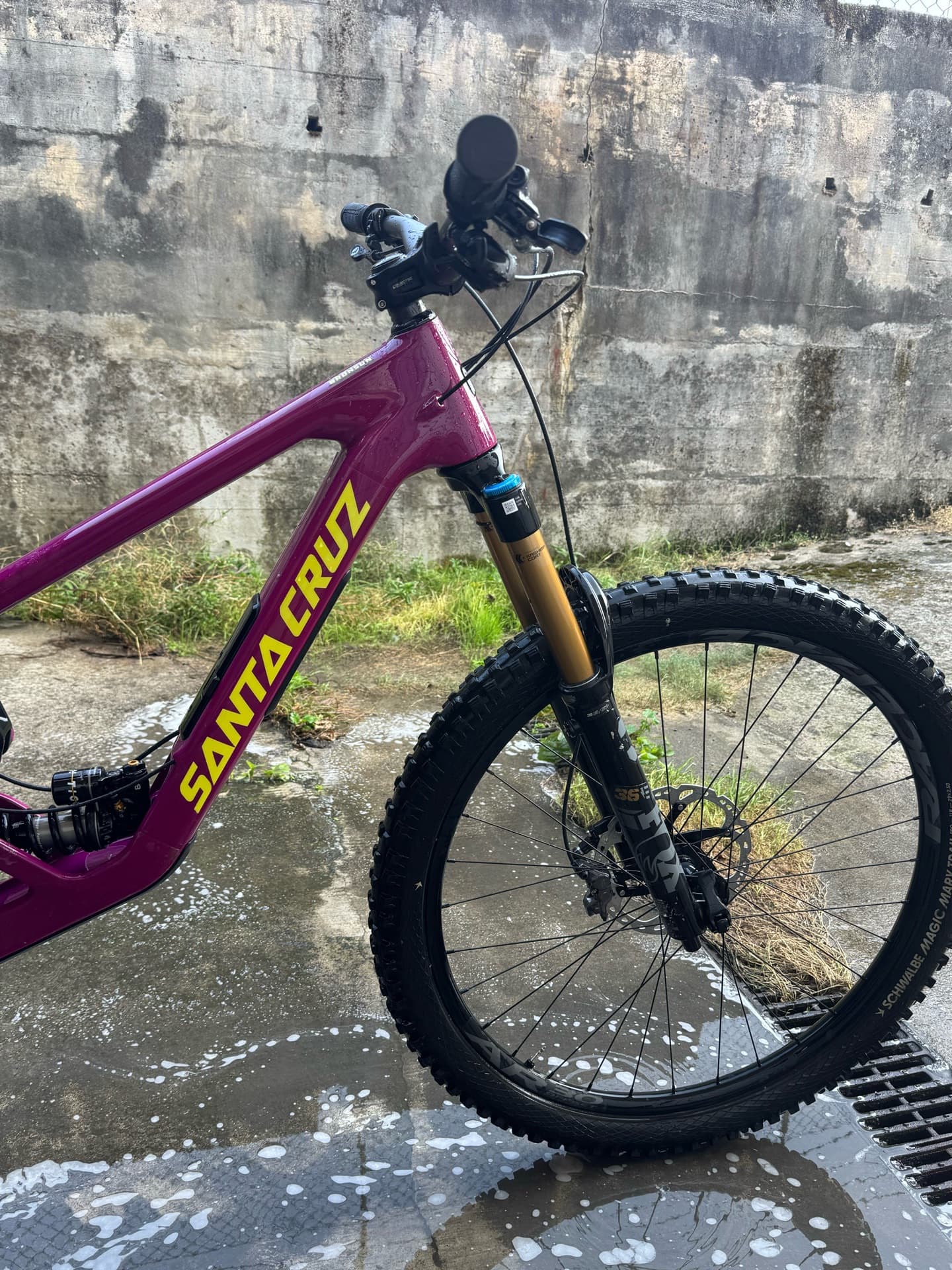 Santa Cruz Bronson 2025
