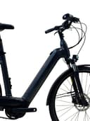 Kettler Quadriga T&C Pro Belt Shimano Nexus 2022