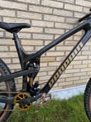 Propain Spindrift 4 CF custom 2021
