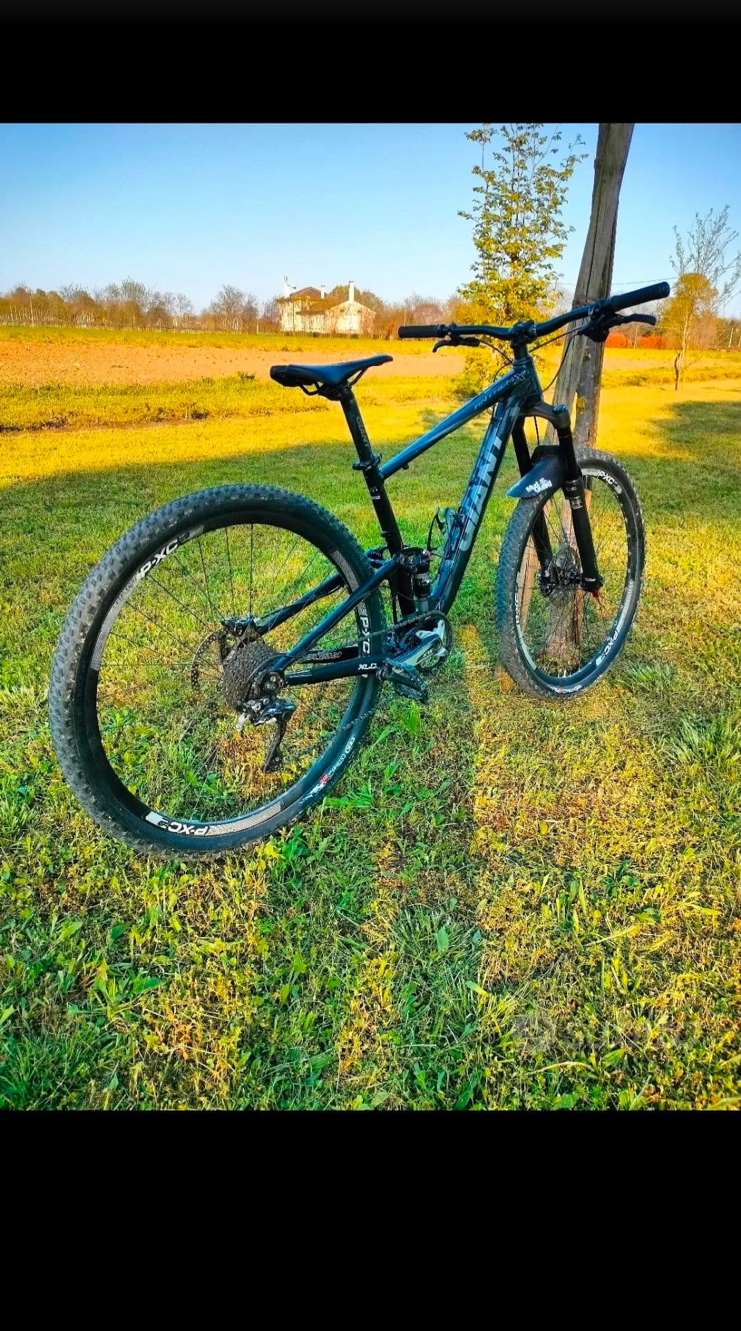Giant Anthem X 29er 2017