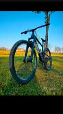 Giant Anthem X 29er 2017