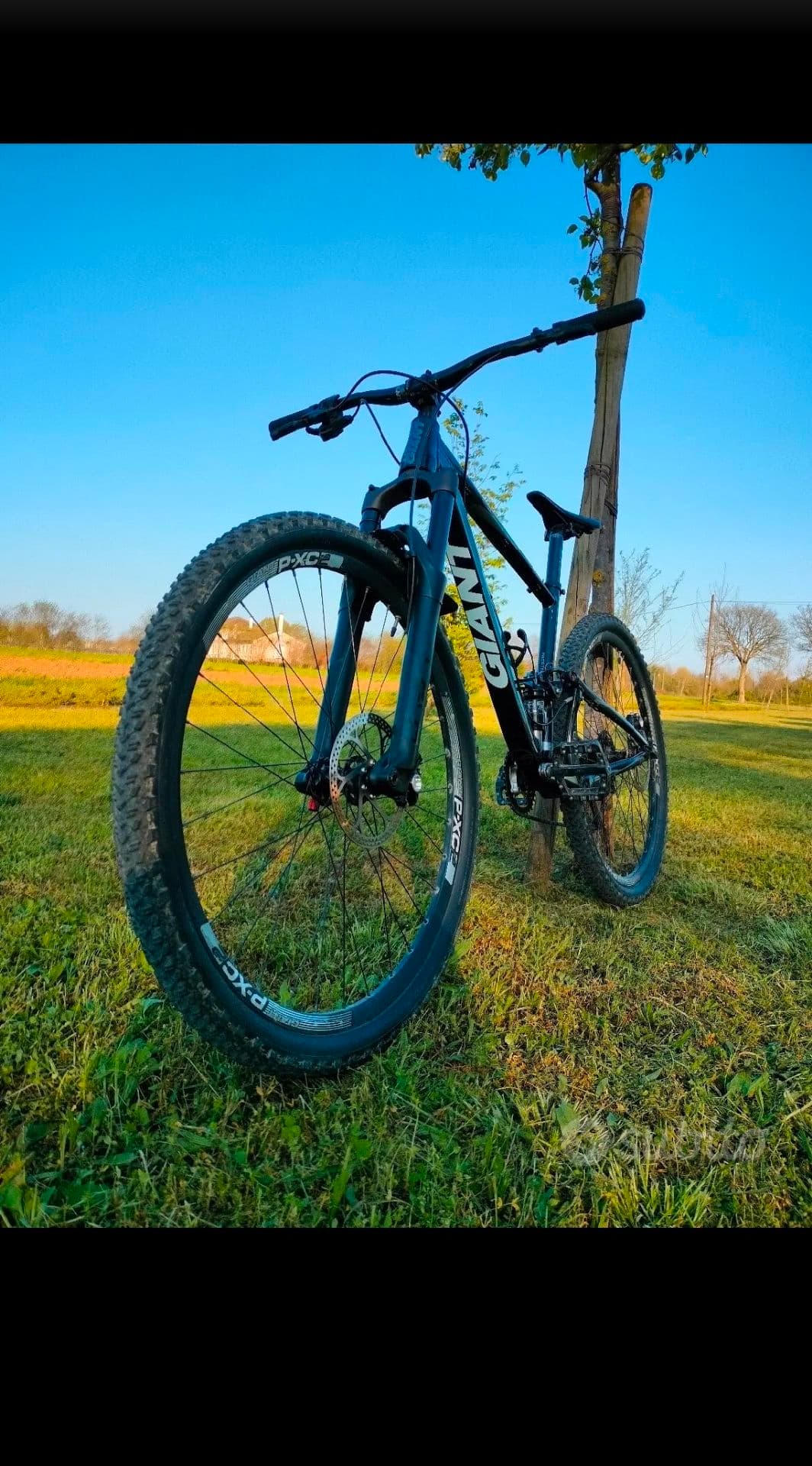 Giant Anthem X 29er 2017