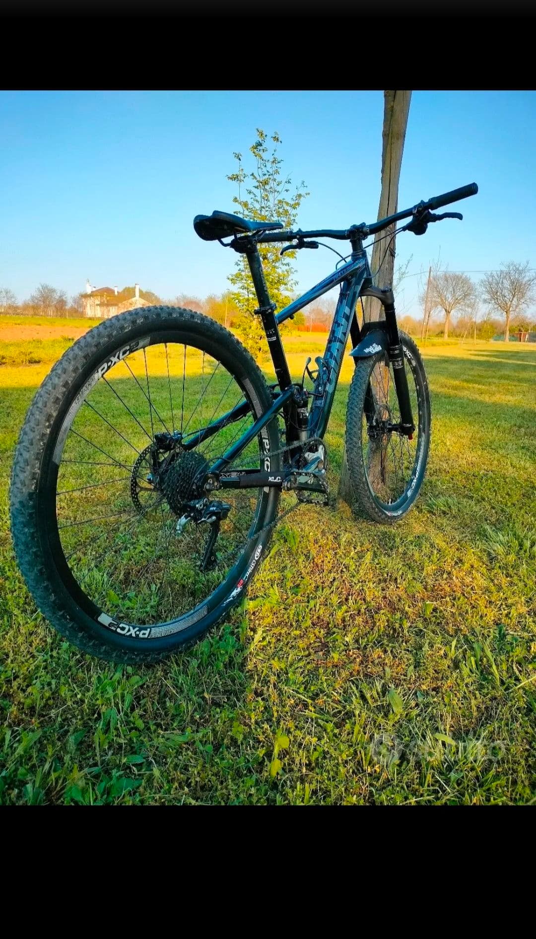 Giant Anthem X 29er 2017