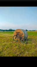 Giant Anthem X 29er 2017