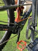 Orbea Wild M-LTD 2025 2025