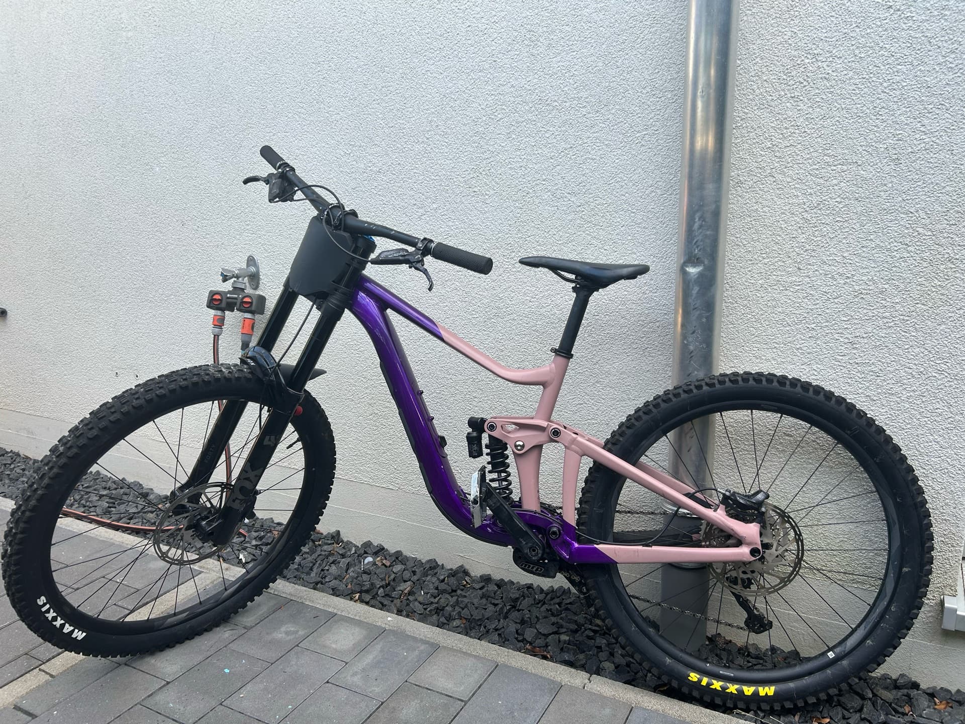 Giant Reign Sx 2024