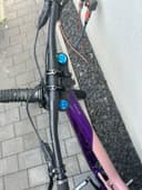 Giant Reign Sx 2024