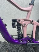 Giant Reign Sx 2024