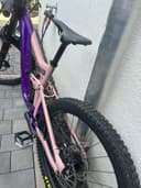 Giant Reign Sx 2024